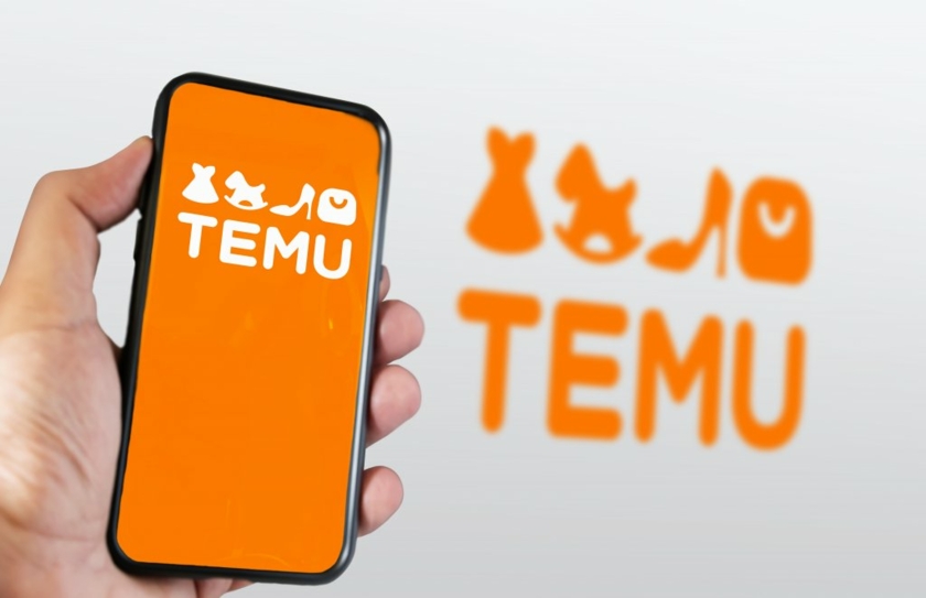 图1-Temu